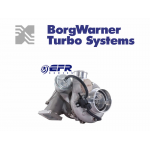 BorgWarner