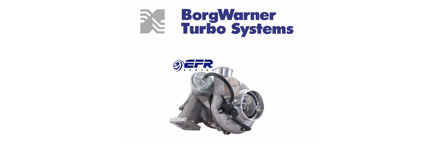 BorgWarner EFR