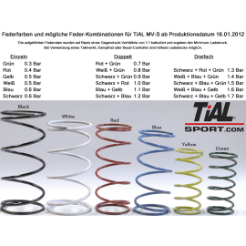 TiAL MV-S Wastegate 38mm MVS silber