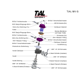 TiAL MV-S Wastegate 38mm MVS silber