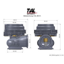 TiAL MV-R Wastegate 44mm MVR silber