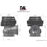 TiAL MV-S Wastegate 38mm MVS rot