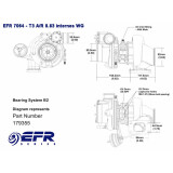 Borg Warner 7064 EFR