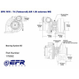 Borg Warner 7670 EFR